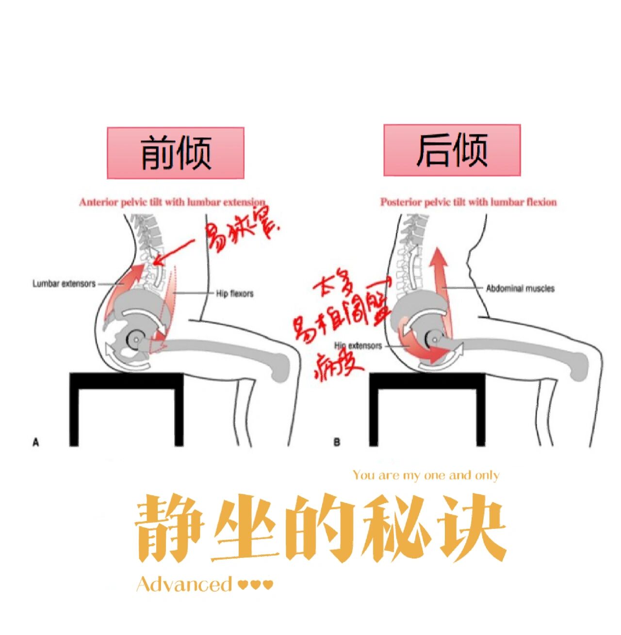 房中术十三图解秘的三大主要内容介绍房中术十三图解秘
