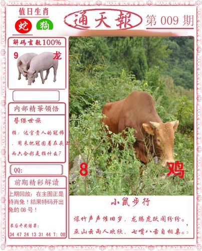 2023全年澳门资料免费看2023澳门全年免费资料大观