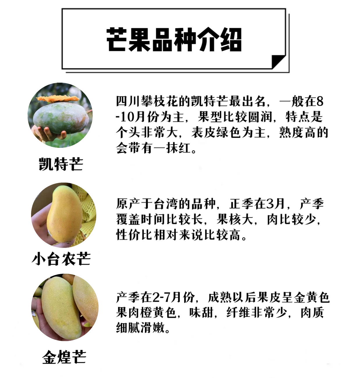 芒果视频一二三2021.2021芒果视频一二三，2021回顾-第3张图片