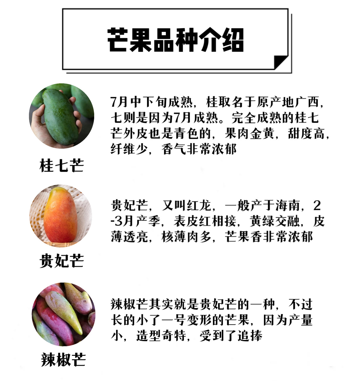 芒果视频一二三2021.2021芒果视频一二三，2021回顾-第2张图片