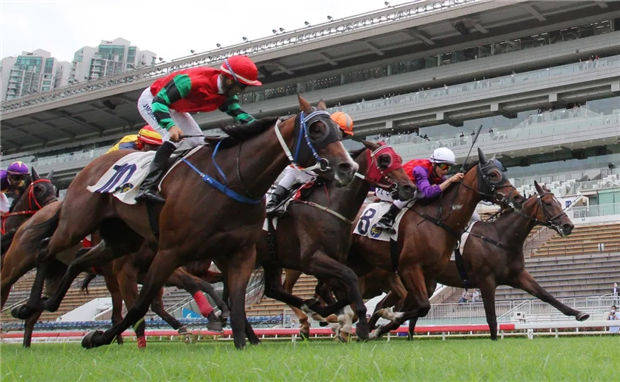 香港赛马会开奖，揭开幸运的神秘面纱