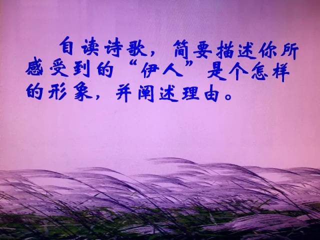 久久伊人，情感与生活的诗意篇章-第2张图片