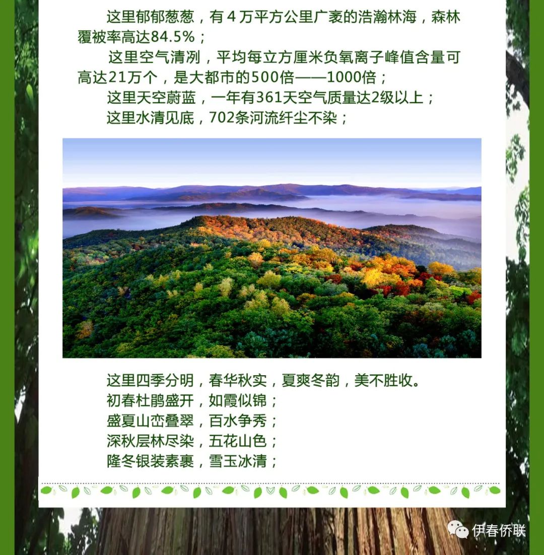 伊春飞机事故遇难人员名单伊春飞机之旅-第2张图片
