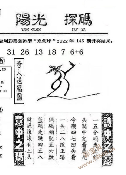 日韩天码砖区2022日韩天码砖区2022概览