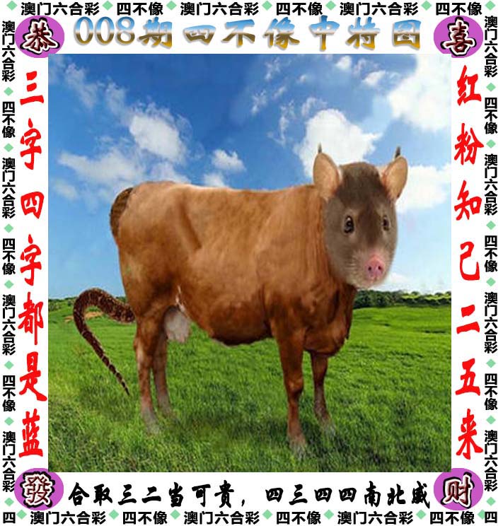 澳门六合正版资料，探索正版资源的新篇章
