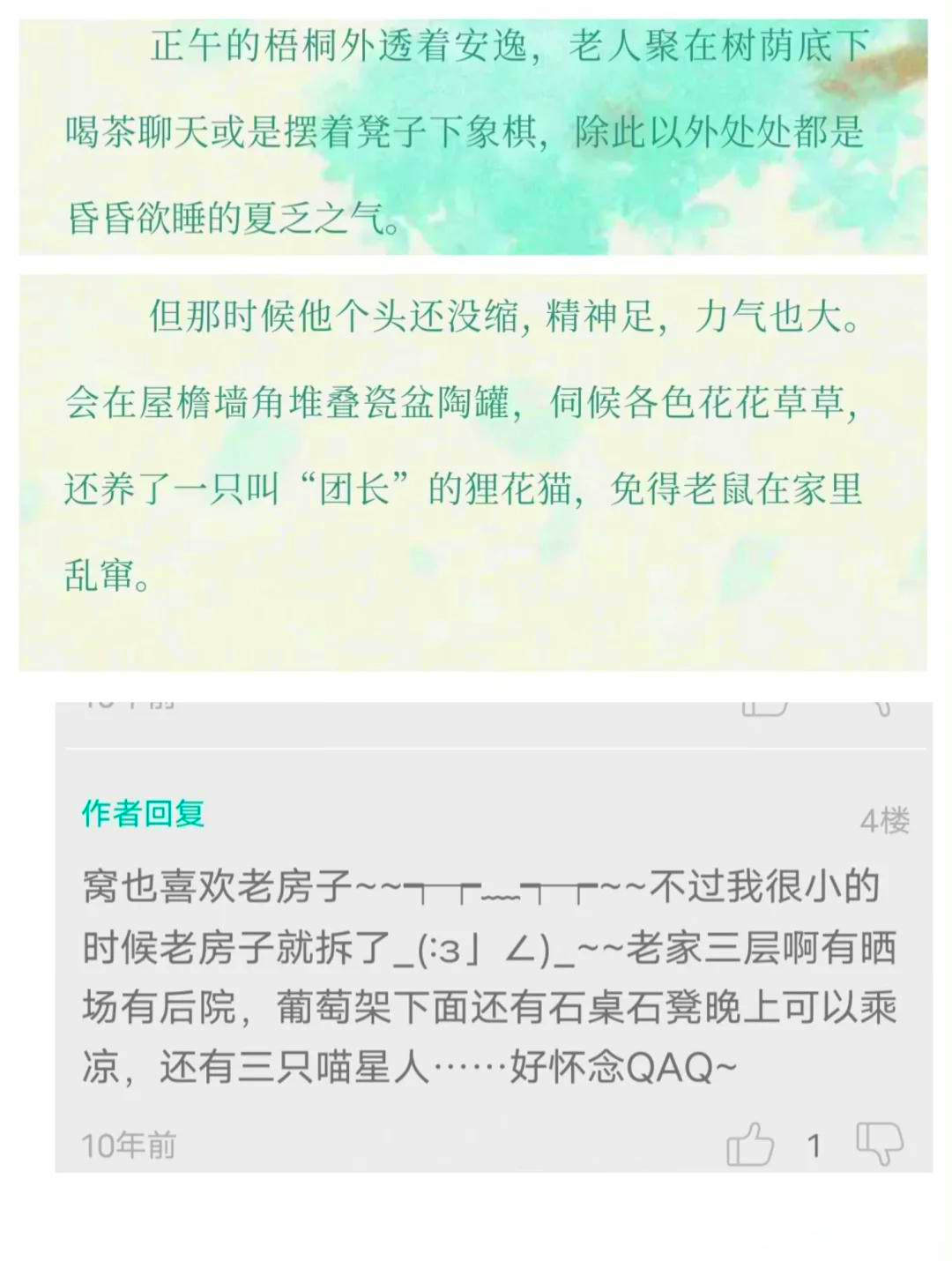 江添，青春的热血与梦想