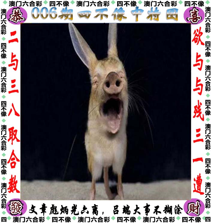 一肖三码一肖三码，揭秘彩票投注技巧