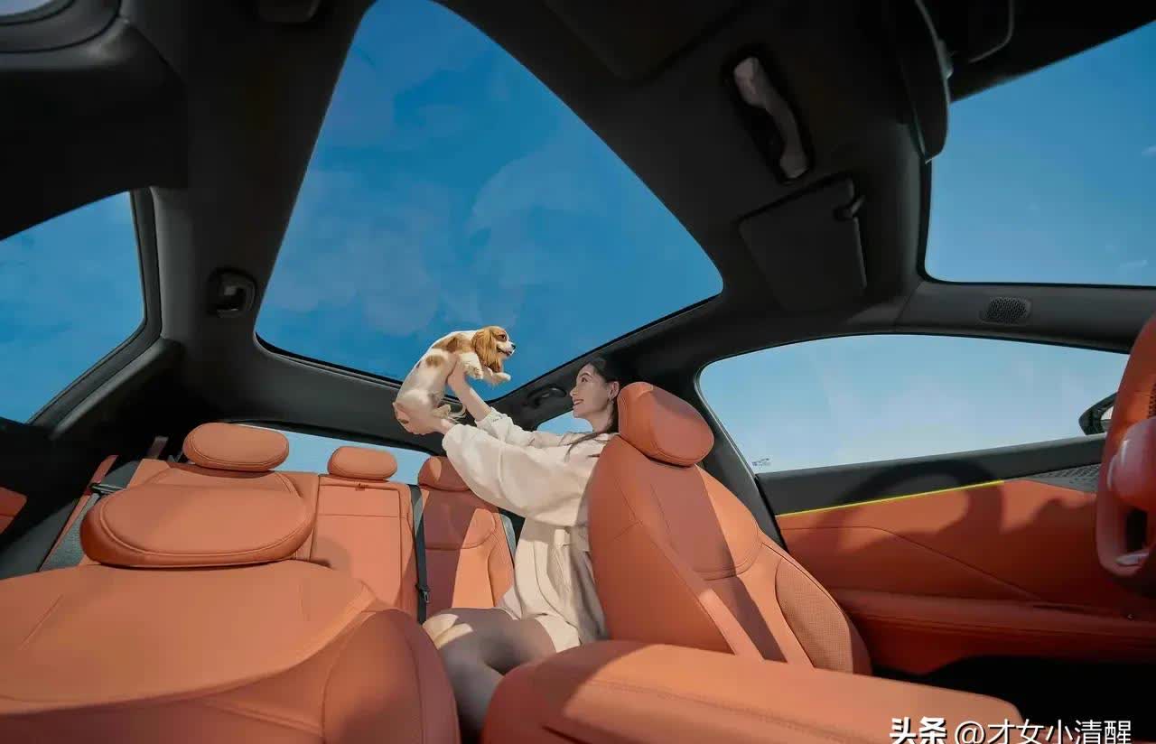 车后座坐腿上猛烈进出车后座猛烈进出的魅力-第2张图片