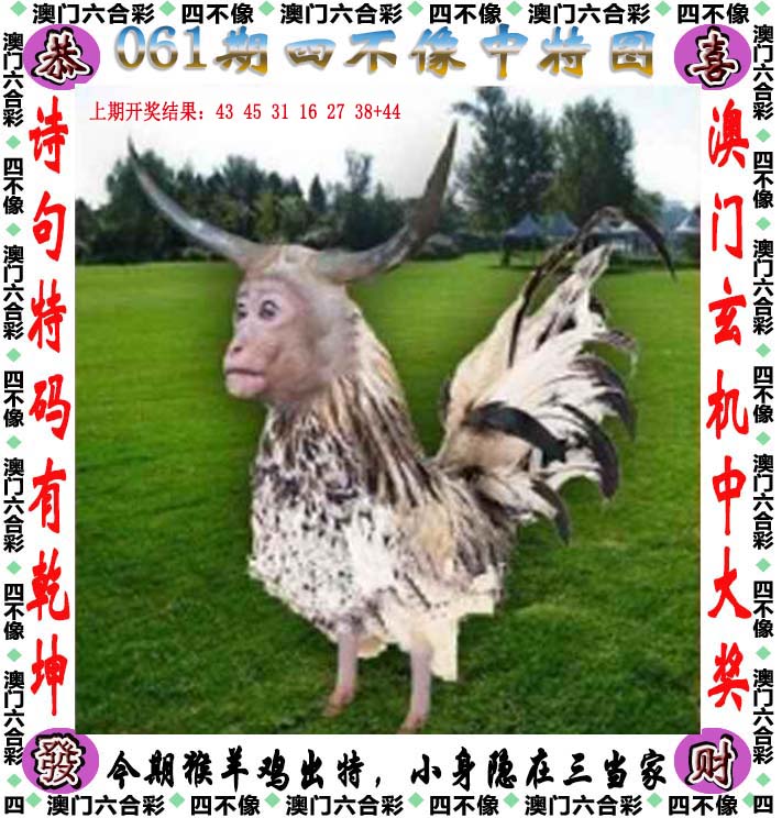 2023澳门正版资料免费图2023澳门正版资料免费图大揭秘-第2张图片