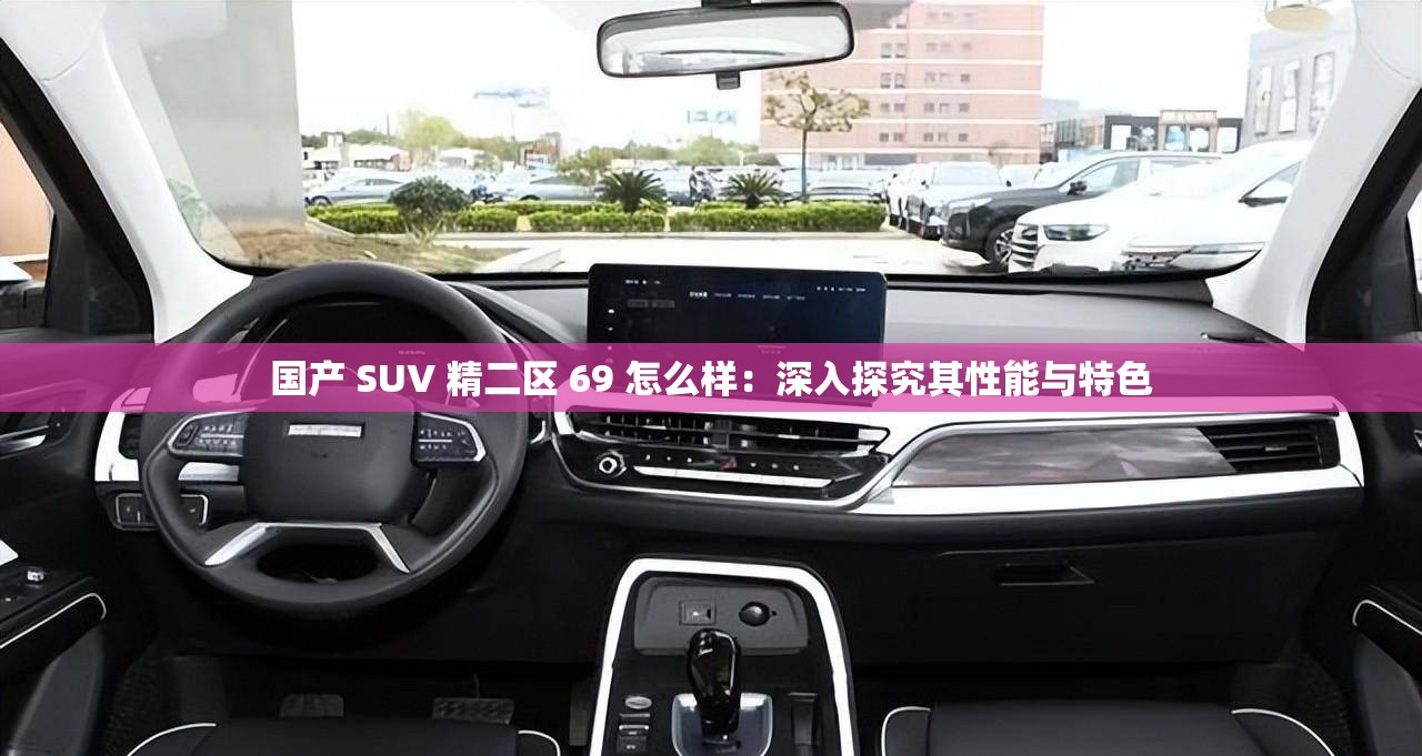 国产SUV精品一区二区四介绍-第2张图片