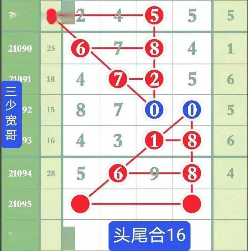 六合杀手六合杀手，神秘而危险的职业