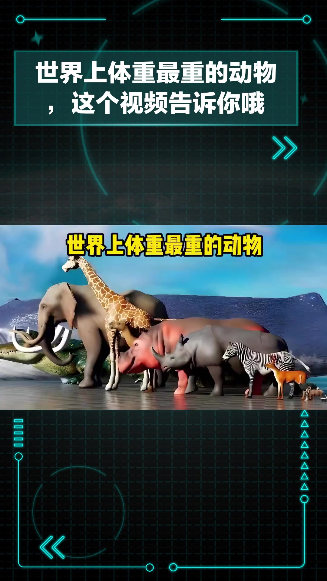 Zoom动物高清视频,被粗大jib捣出了白浆Zoom动物高清视频，探索神秘生物世界