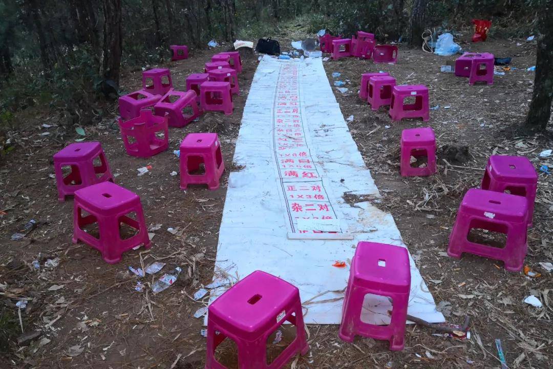百家乐论坛百家乐论坛，探索网络赌博的秘密世界-第1张图片