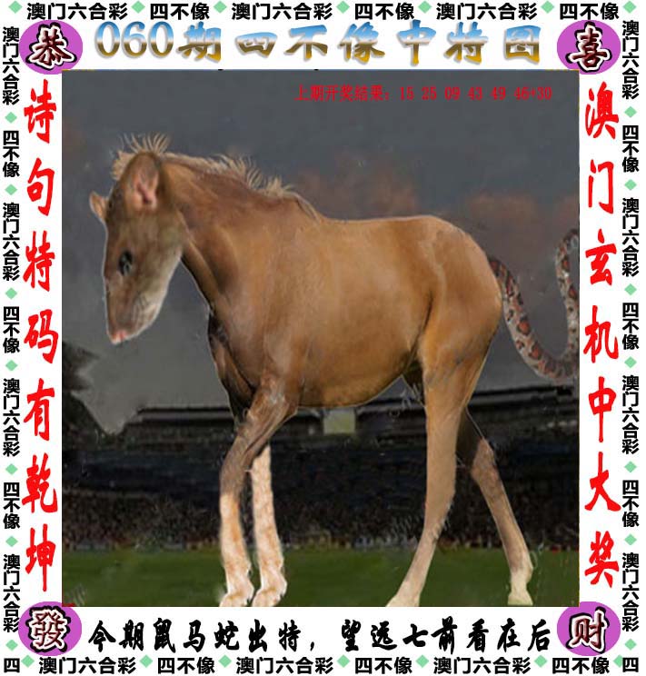 2024澳门特马今晚开奖53期结果2024澳门特马今晚开奖53期揭秘