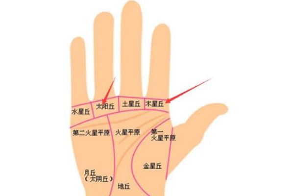 财运网名大全男财运网，财富之门的探索