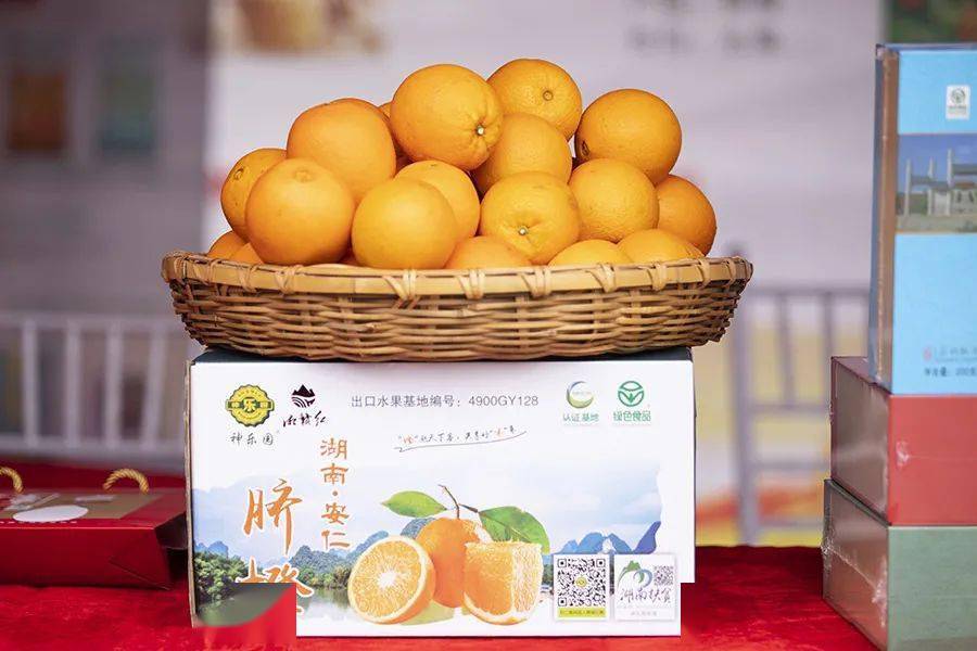 9精产国品一二三产区九精产国一二三产区概览
