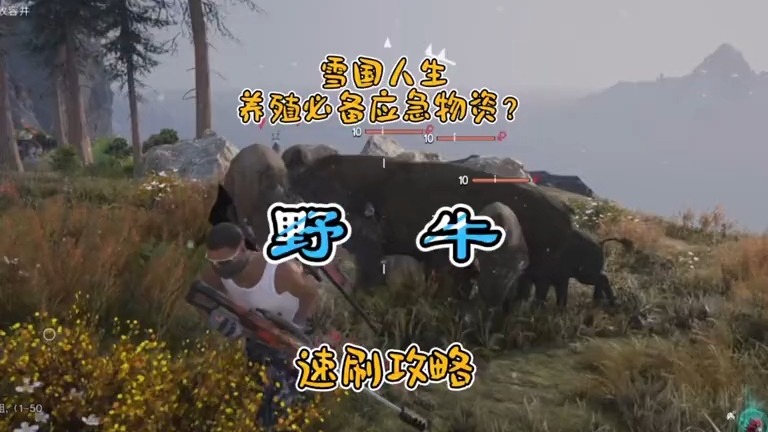 伊洛纳伙伴好感度速刷攻略-第2张图片