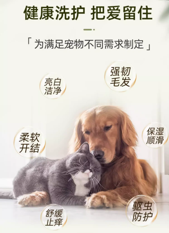 博狗网haobc博狗网HAOBC，引领宠物行业的新篇章-第2张图片