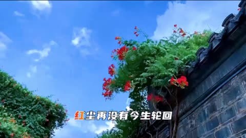 秘密列车电影免费完整版播放日本妻伦情欲电车，深层次的情感交织