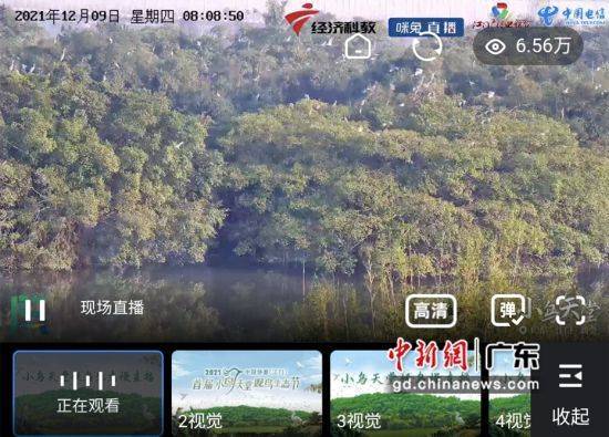天堂成品人短视频网页版介绍