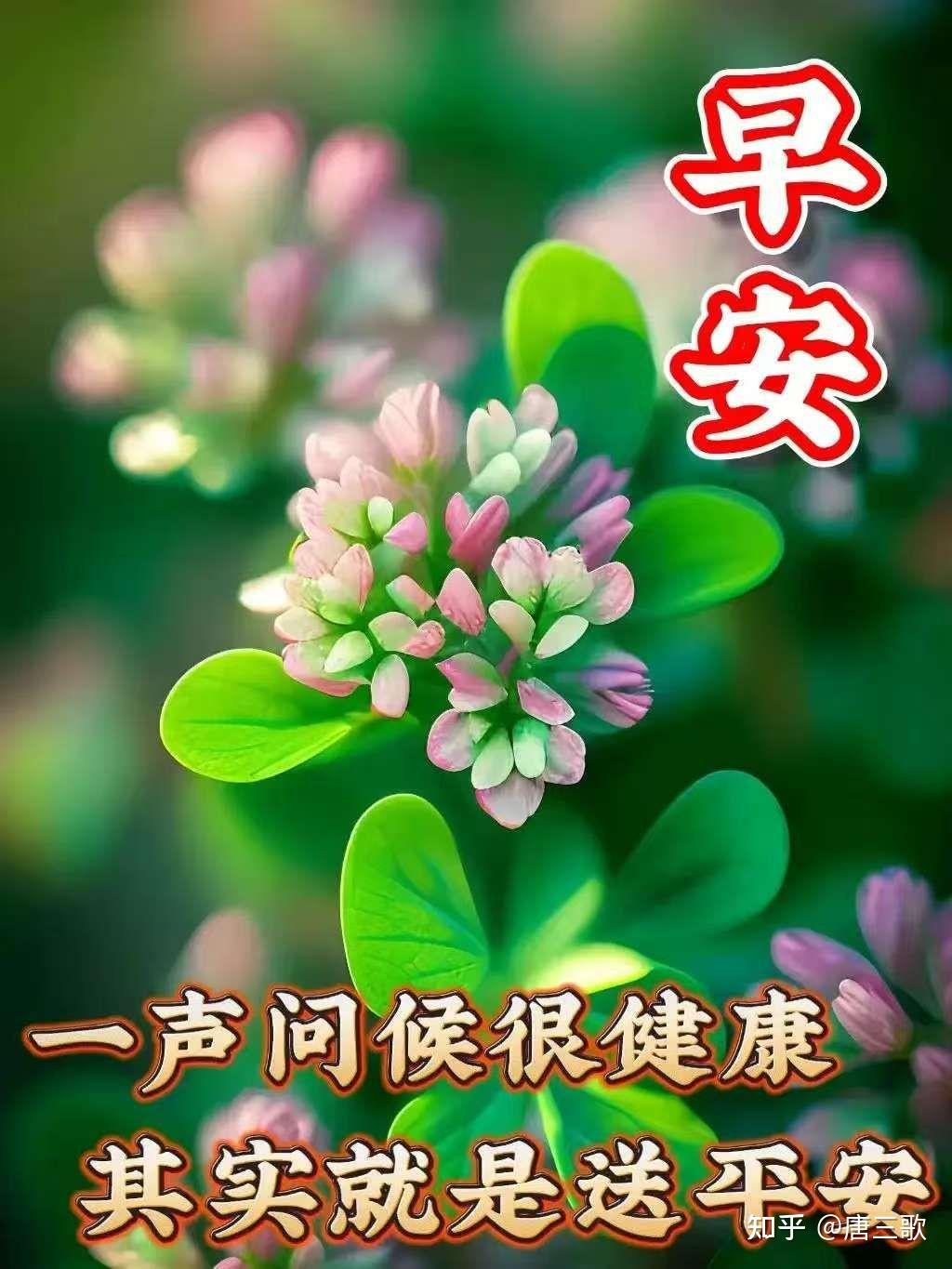 2月19日是什么日子-第3张图片