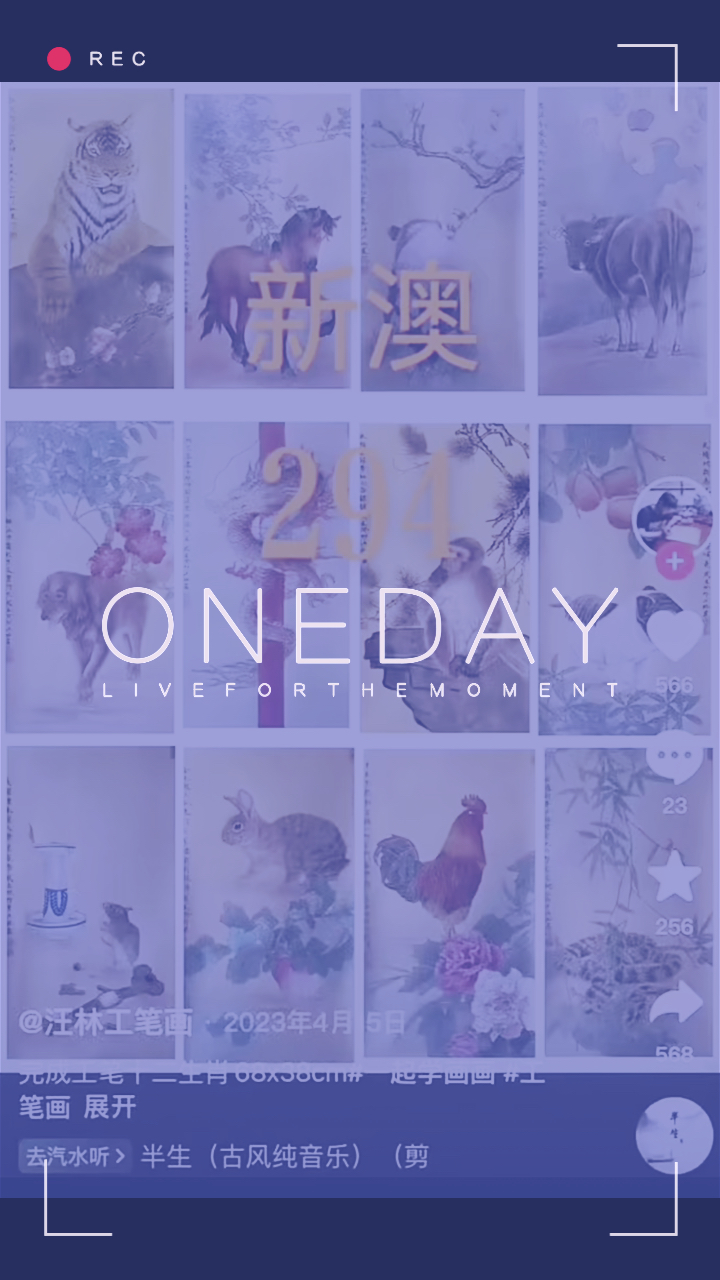 今日特马，今日之亮点与新发现-第2张图片