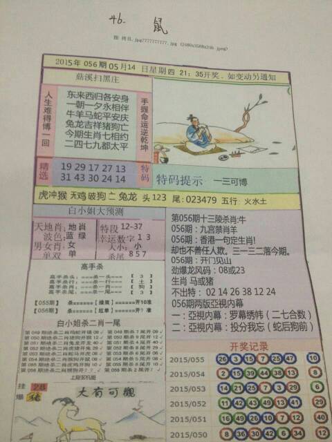 今日特马，今日之亮点与新发现-第3张图片