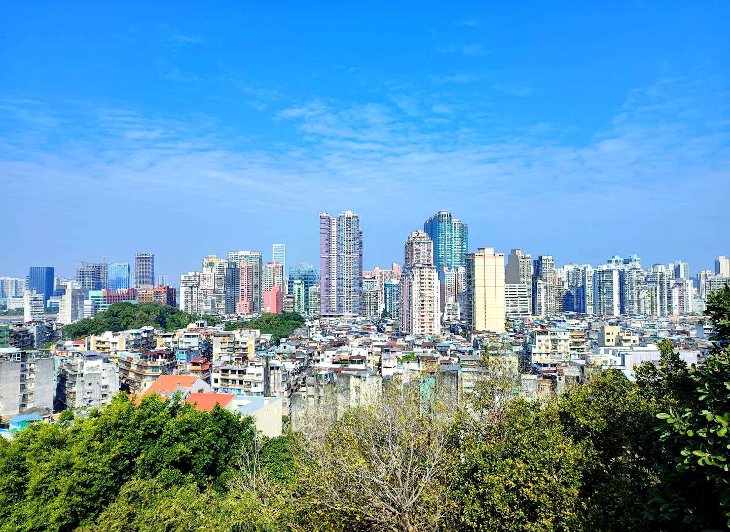 2025年新澳门全年免费2024新澳门免费资料，探索澳门未来的无限可能