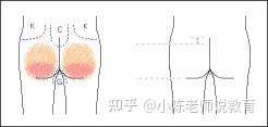 女孩脱裤子打屁屁事件