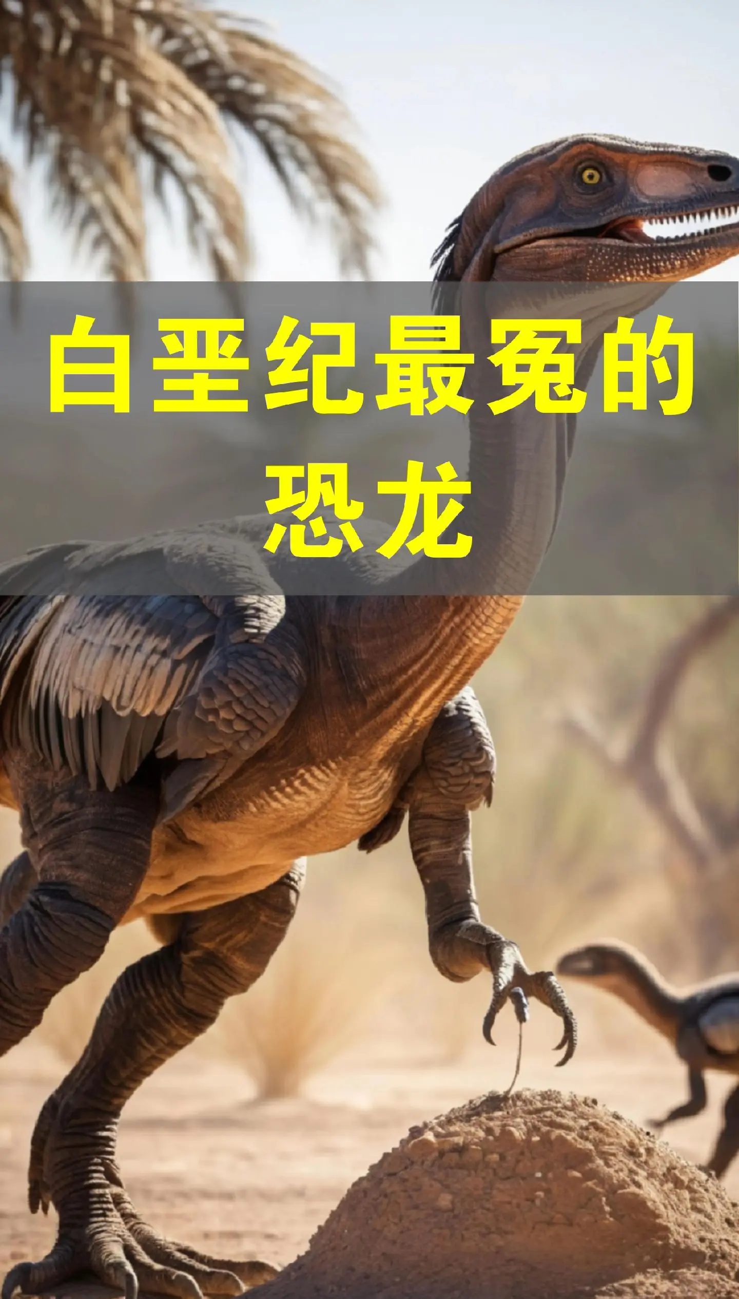 蛋蛋龙蛋蛋龙，神秘的生物-第2张图片