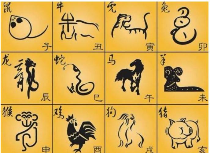 群龙无首是什么生肖-第1张图片