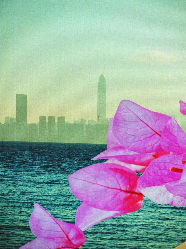 118图库彩色厍图印刷图，探索视觉盛宴-第3张图片