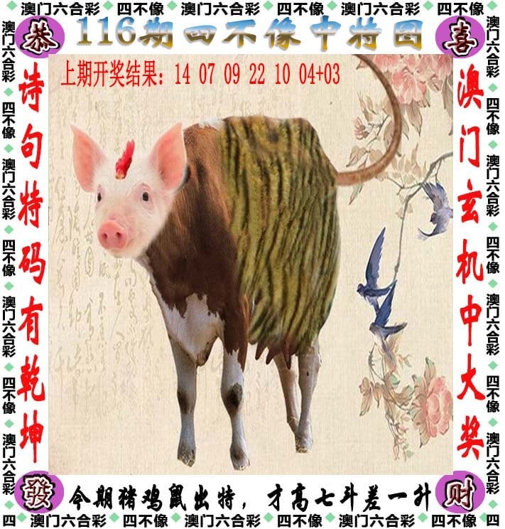 2024年新澳门天天开彩2024年新澳门天天开彩，彩梦启航