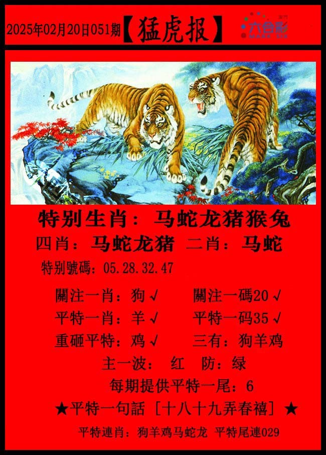 管家婆2024资料精准大全-第1张图片