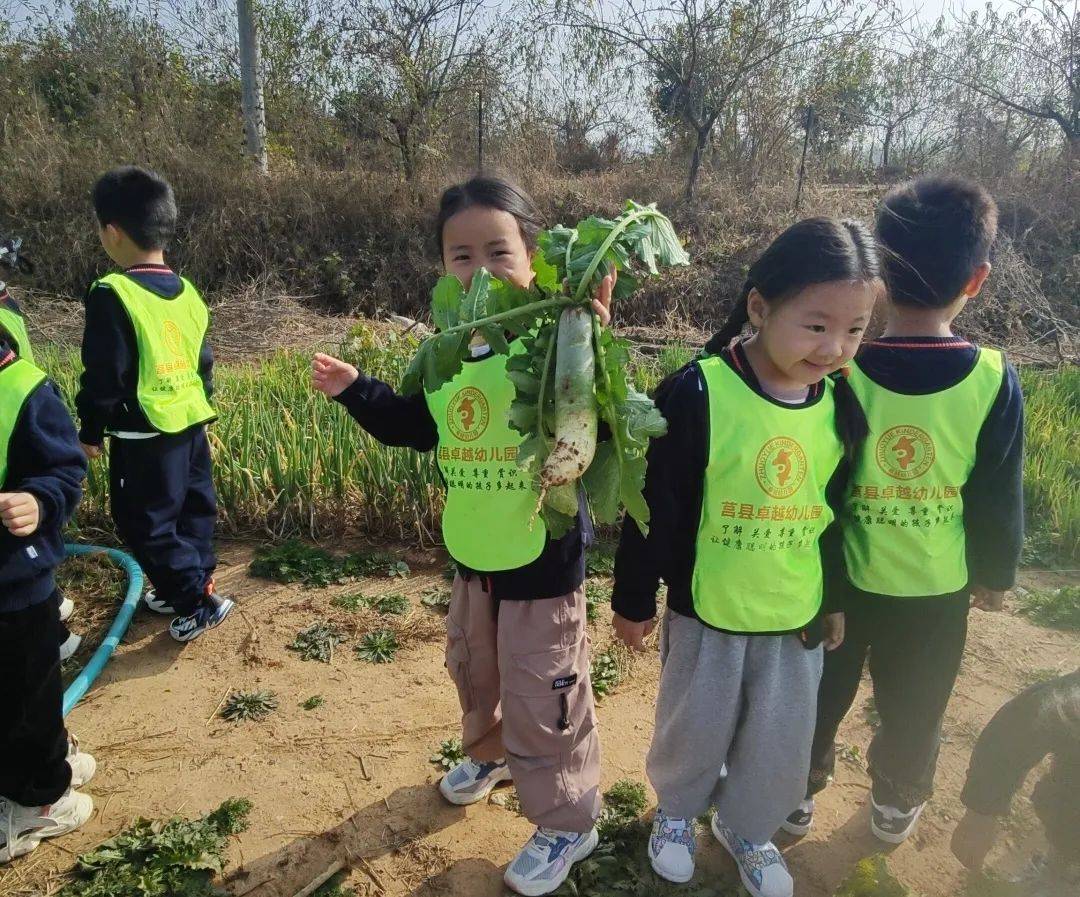 伊在人间香蕉最新视频，探索自然与美食的奇妙之旅