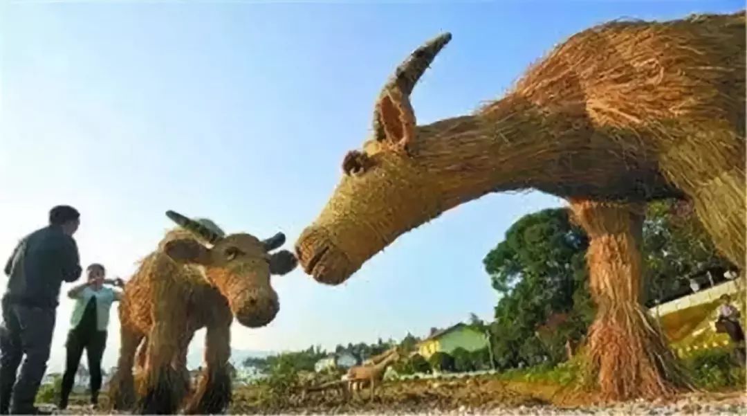 乡村欲爱的事乡村欲爱，免费阅读的诗意田园