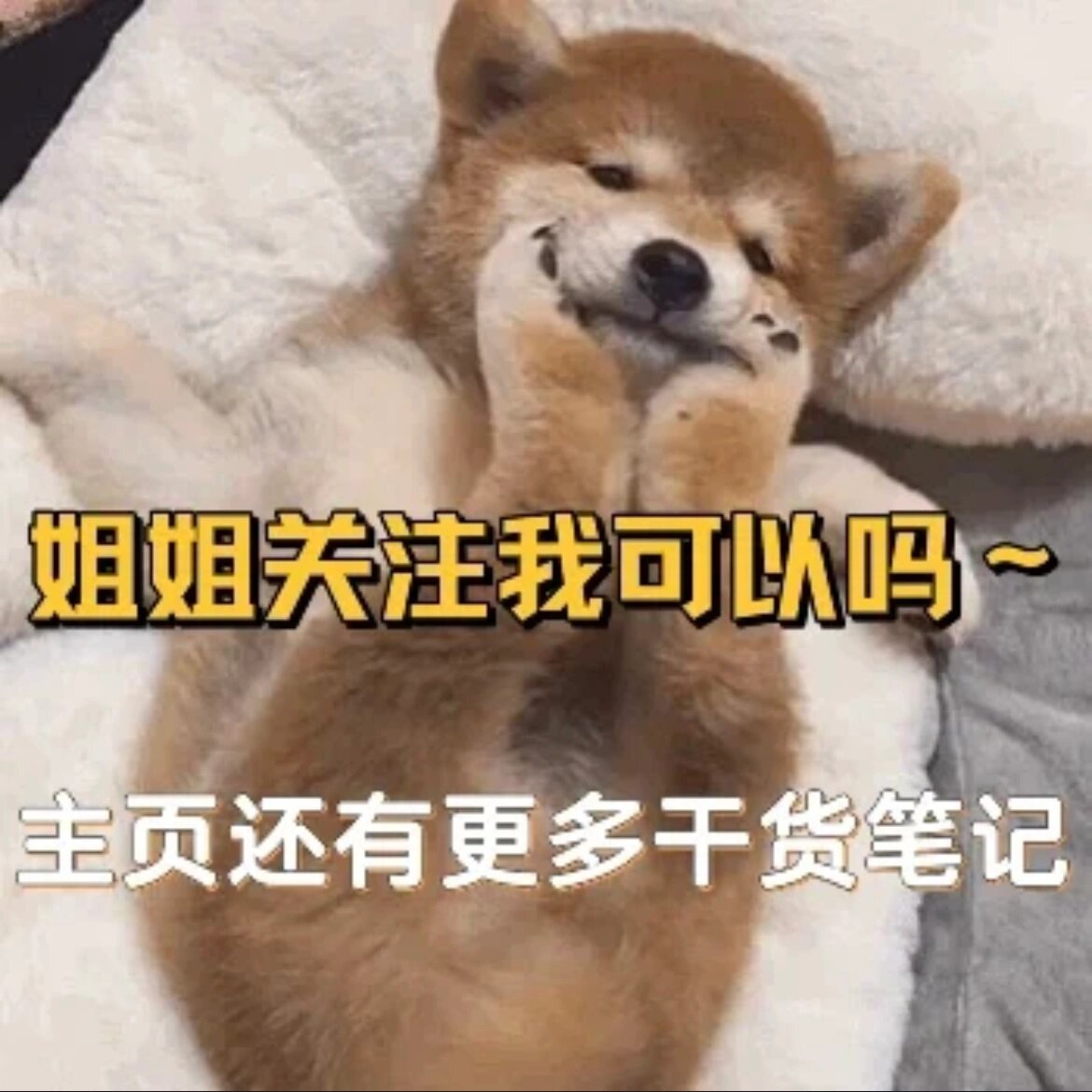 ps联盟下载PS联盟下载，解锁创意与效率的双重魅力